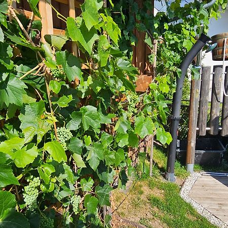Blockhaus Im Sueden Deutschlands Villa Höchenschwand Eksteriør bilde